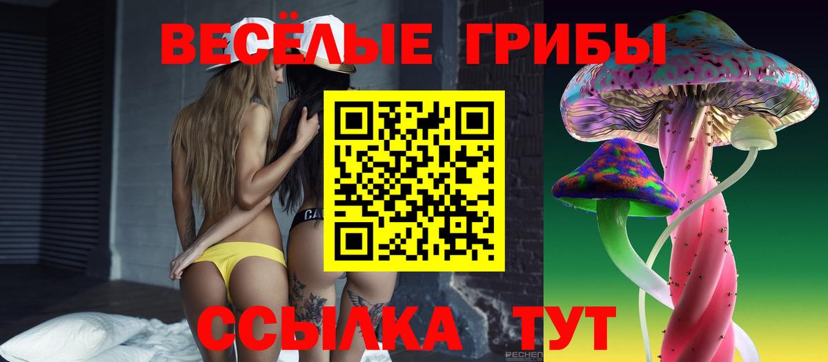 Галлюциногенные грибы Psilocybe Южноуральск